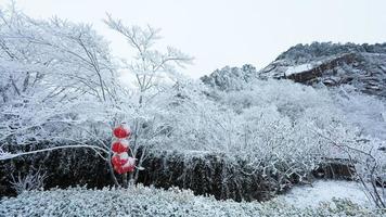 The frozen winter view with the forest and trees covered by the ice and white snow photo