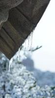 el congelado caído hielo columnas colgando desde el alero en invierno foto