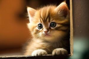 Portrait of a little ginger kitten with blue eyes who explores the world. photo