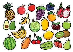 fruits set collection vector