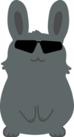 Rabbit with sunglasses cartoon character crop-out png