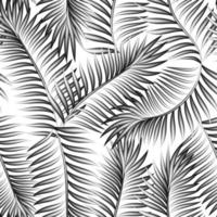 palm leaves seamless pattern on white background. monochromatic tropical seamless background. nature wallpaper. Floral background. Exotic tropic. Summer design. spring background. autumn pattern. fall vector