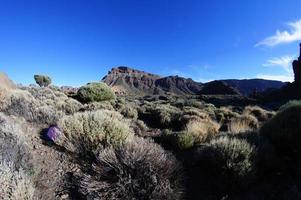 Scenic rural landscape photo