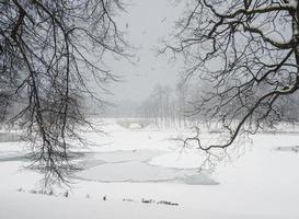 invierno lago con patrones en el nieve cubrir de el agua y un montón de volador gaviotas en el ciudad parque. Gatchina. Rusia. foto