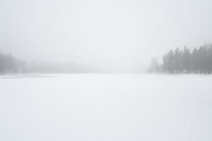 minimalista invierno paisaje. tormenta de nieve en el invierno parque. alto arboles debajo nieve cubrir foto