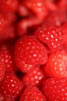 Fresh red cultivated ripe raspberries and currant berries, healthy food texture background angle view macro rubus phoenicolasius family rosaceae big size high quality botanical prints photo