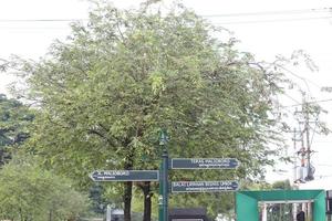 signposts to make it easier for tourists photo