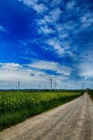 pintoresco primavera paisaje con azul cielo y verde campos foto