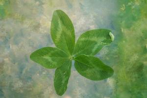 verde cinco hojas trébol para bueno suerte en un verde antecedentes de cerca foto