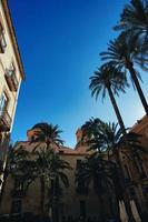 townhouses with palm trees in the city of Alicante spain against the sky photo