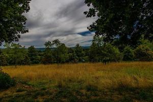 verano paisaje con verde árboles, prado, campos y cielo con blanco nubes foto