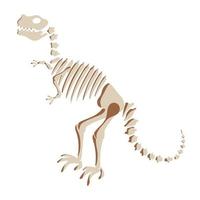 T rex dinosaur skeleton illustration. Prehistoric creature bones isolated. Dangerous ancient predator, tyrannosaurus fossil design element. Vector. vector