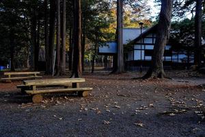 Wooden Bench in the Park. photo