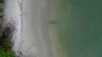 Top shot of the beach along the coastline wtih small wave video