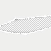 Horizontal torn paper edge. Paper texture. Rough broken border of paper stripe. Vector illustration isolated on white background.