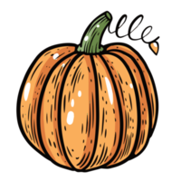 Colorful pumpkin line art style png