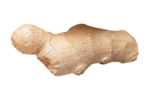 Vegetables ginger isolated on a transparent background png