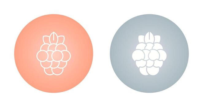 Raspberry Vector Icon