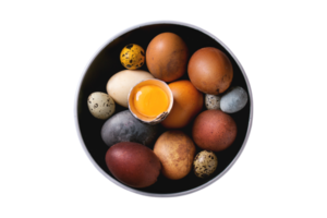 Different types of eggs isolated on a transparent background png