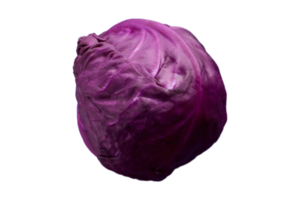 violet chou isolé sur une transparent Contexte png