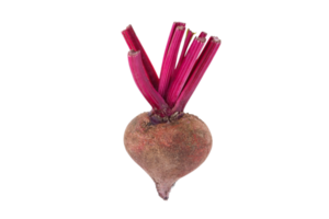 Beetroot isolated on a transparent background png