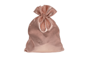 rosado bolso aislado en un transparente antecedentes png