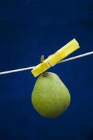 a greenr juicy gourd hanging on a string on a dark blue background photo