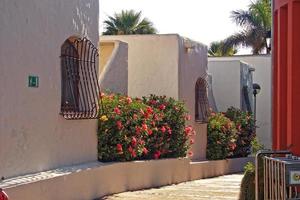 interesting tourist streets in the south of the Canary Island of Tenerife in Spain on a warm summer day photo