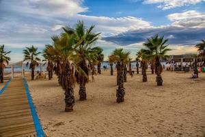 playa en alicante playa del postigo España camino y palma arboles en un soleado día foto