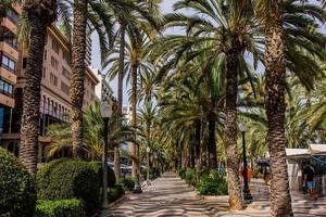 famous original seaside arcade in alicante spain on a warm summer day photo