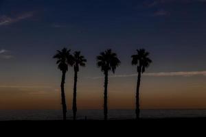 playa paisaje paz y tranquilo puesta de sol y cuatro palma arboles en el playa foto