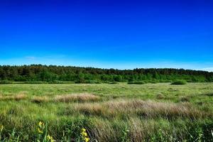 picturesque spring landscape with blue sky and green fields photo