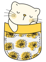 Cute cat in a colorful pocket png