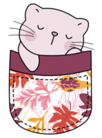 Cute cat in a colorful pocket png