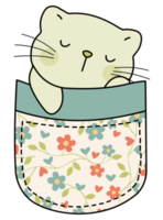 Cute cat in a colorful pocket png