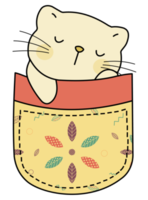 Cute cat in a colorful pocket png