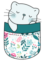 Cute cat in a colorful pocket png