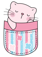 Cute cat in a colorful pocket png