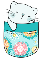 Cute cat in a colorful pocket png