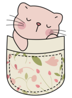 Cute cat in a colorful pocket png