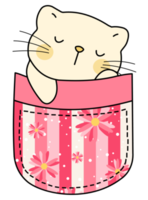 linda gato en un vistoso bolsillo png