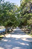grava parque callejón en un verano día entre verde arboles foto