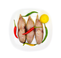 quatro dedos barbatana seco peixe com branco prato isolado png