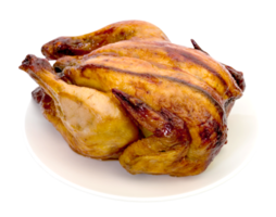 roasting chicken isolated png