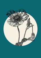 Blooming poppy flower sketch poster illustration. Monochrome art in engraving style. Greeting card and home design vector