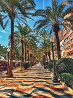 summer landscape with paseo de la explanada alicante in spain photo