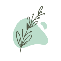 mão desenhado folha com a estético forma ou estético blob simples decoração png