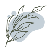 Hand drawn leaf with an aesthetic shape or aesthetic blob simple decoration png