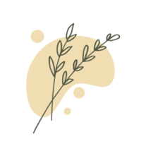 Hand drawn leaf with an aesthetic shape or aesthetic blob simple decoration png