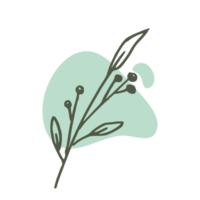 Hand drawn leaf with an aesthetic shape or aesthetic blob simple decoration png